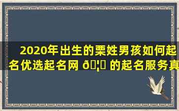 2020年出生的栗姓男孩如何起名优选起名网 🦆 的起名服务真 🌸 的好吗